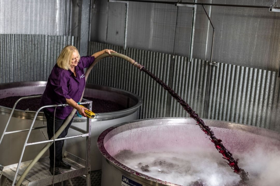 winemaking_with_jo